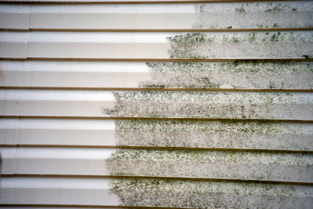 Best Fascia and Soffit Installation  in South Amboy, NJ